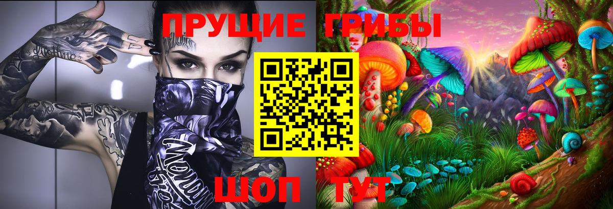магазин    Псилоцибиновые грибы MAGIC MUSHROOMS  Псилоцибиновые грибы GOLDEN TEACHER  Вход с VPN  Саяногорск 