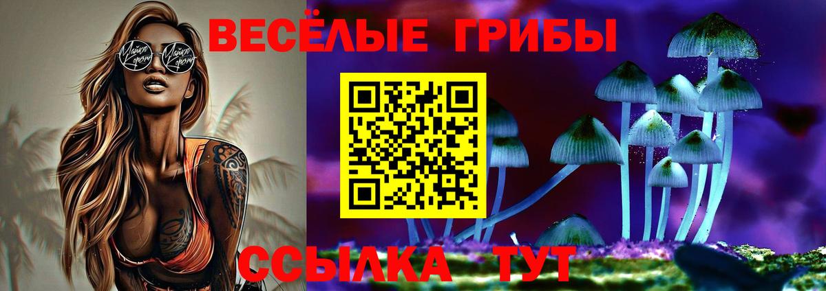 Псилоцибиновые грибы Psilocybine cubensis Саяногорск